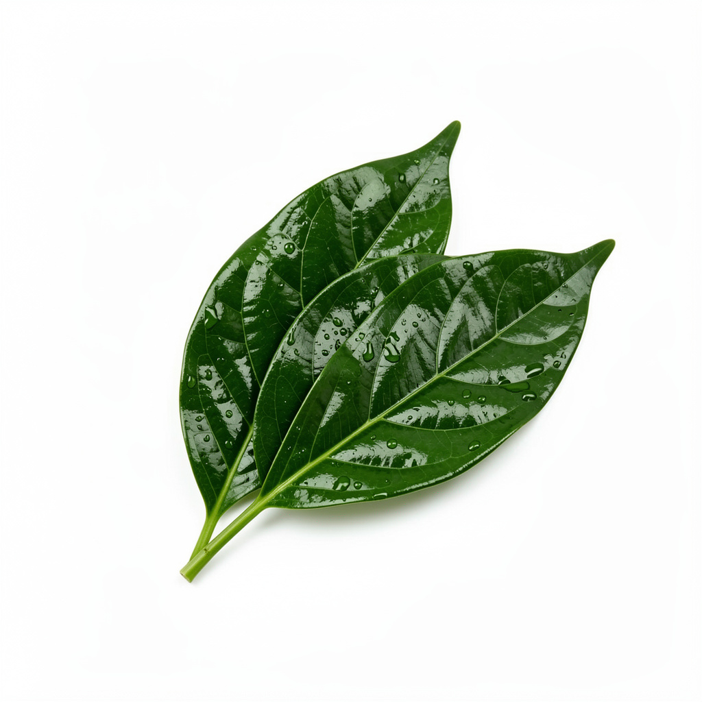 Cha Muang Leaf