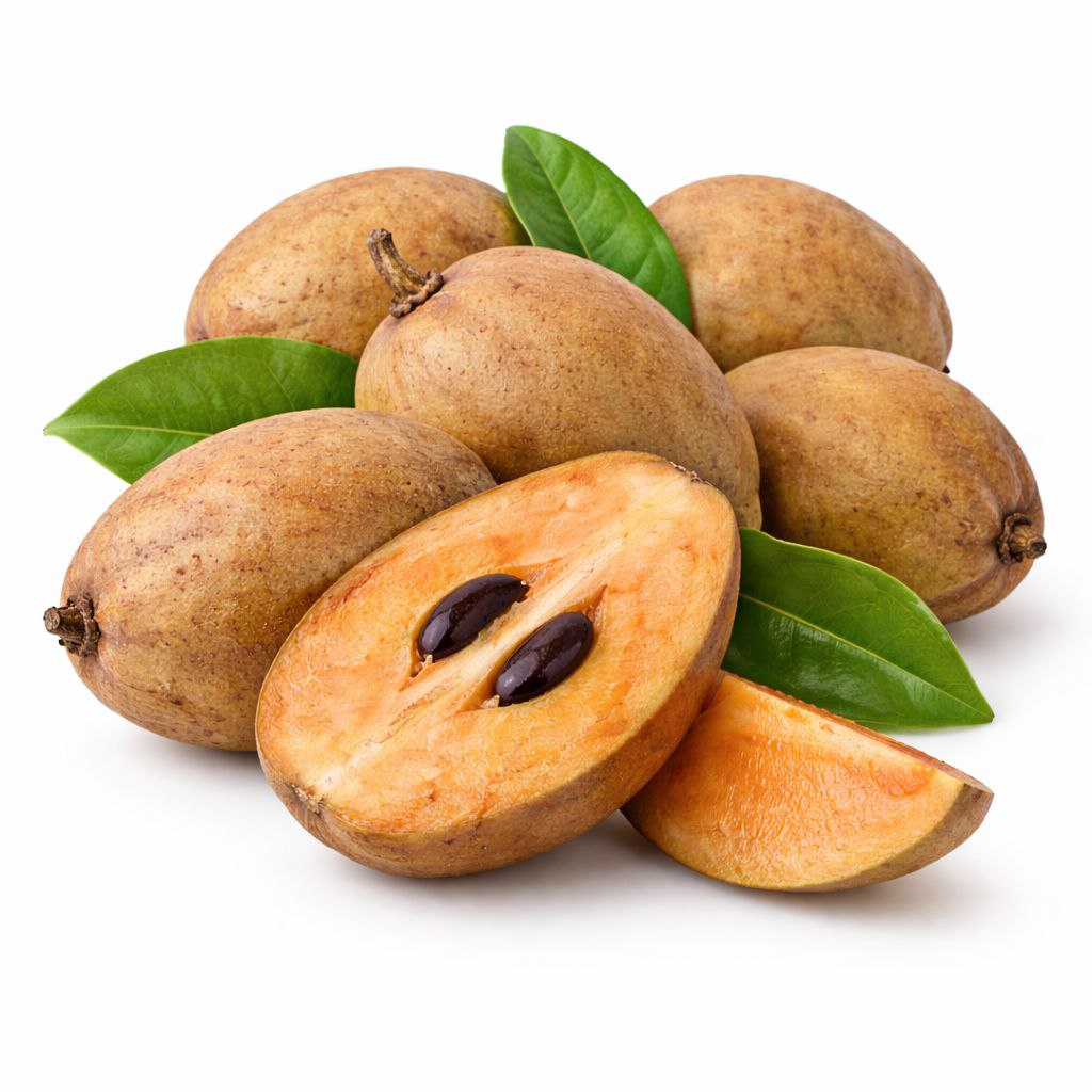 Sapodilla