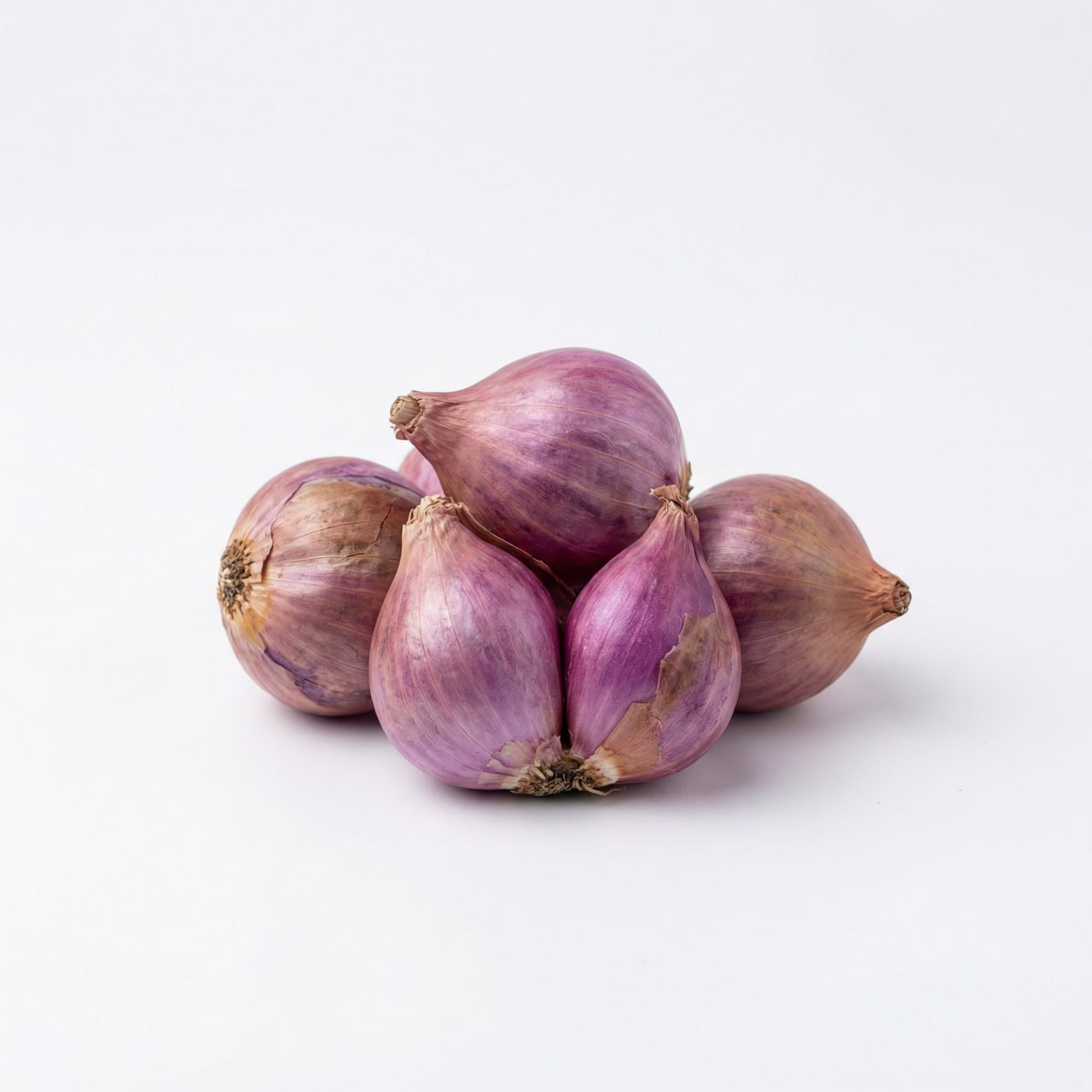 Shallot